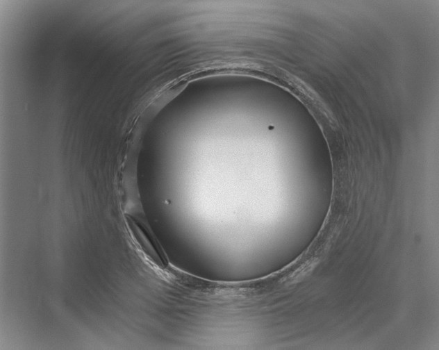 X0000069800985200606021435