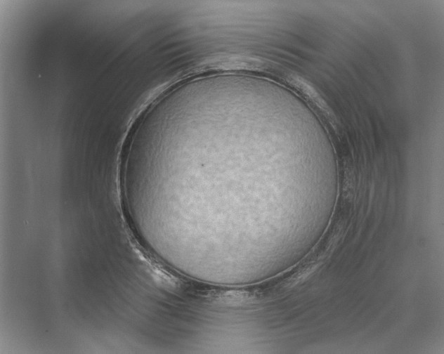 X0000069800986200606021435