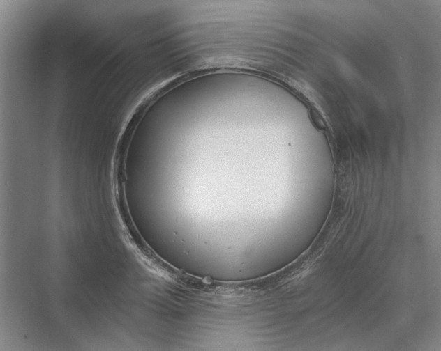 X0000069800987200606021435