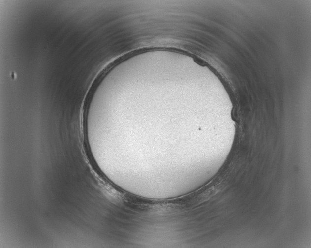 X0000069800988200606021435