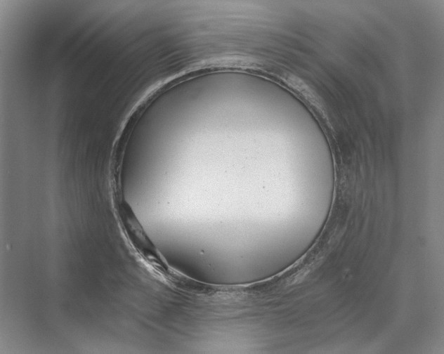 X0000069800989200606021435