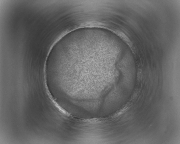 X0000069800990200606021435