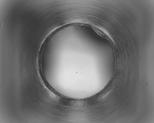 X0000069800991200606021434