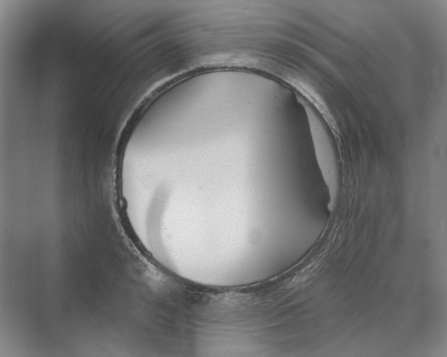 X0000069800992200606021434