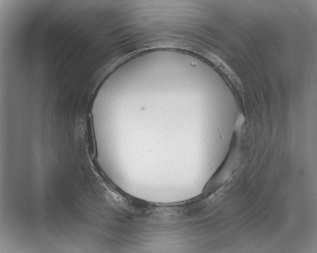 X0000069800993200606021434