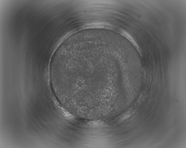 X0000069800994200606021434