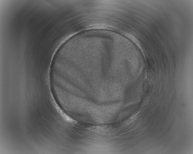 X0000069800995200606021434