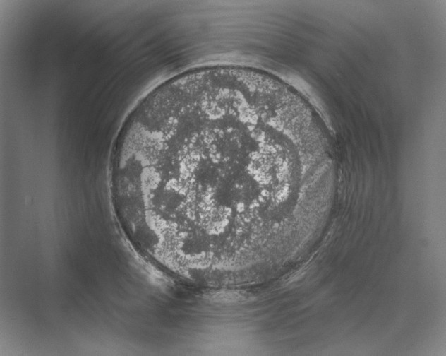 X0000069800998200606021434