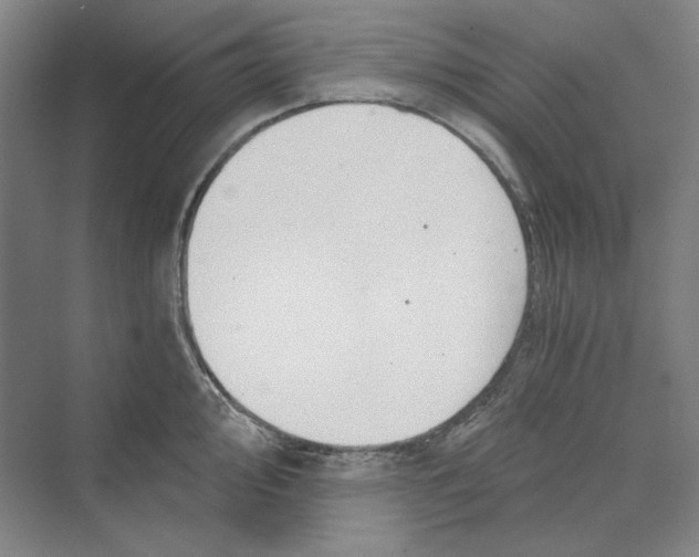 X0000069801000200606021434