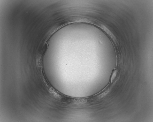 X0000069801001200606021434