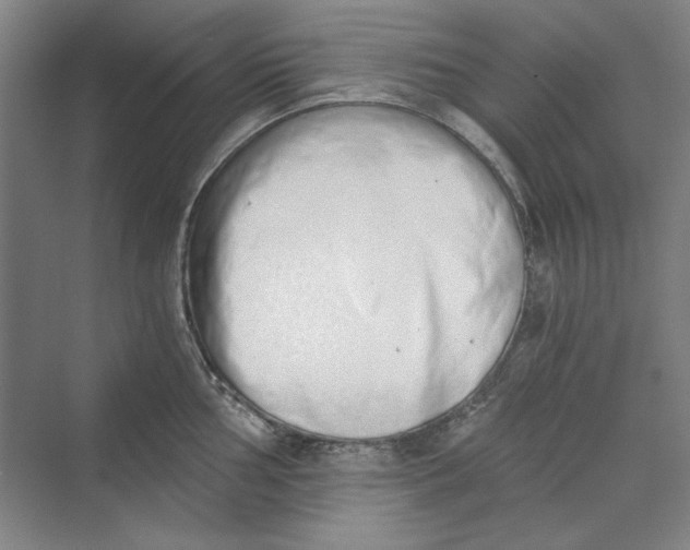 X0000069801002200606021434