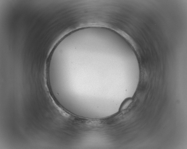 X0000069801006200606021434