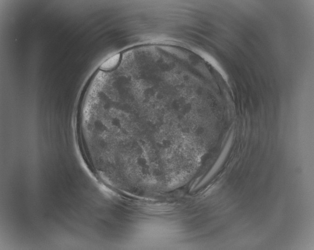 X0000069801007200606021434