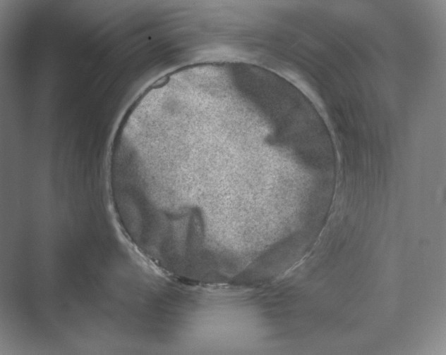 X0000069801008200606021434