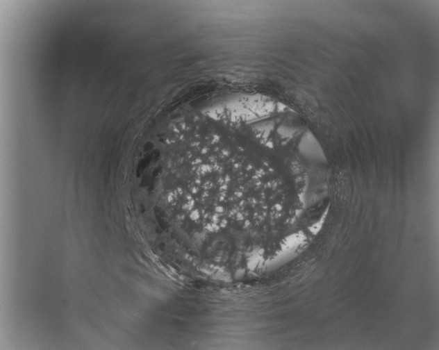 X0000069801009200606021433