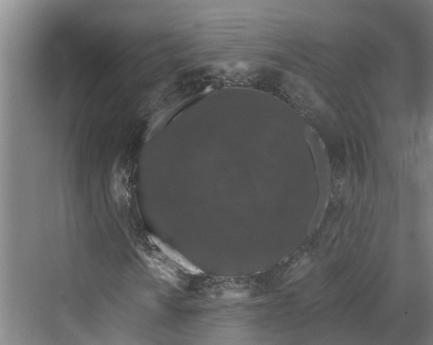 X0000069801010200606021433