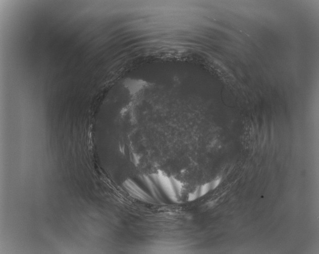 X0000069801013200606021433