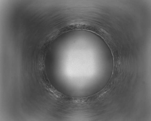 X0000069801014200606021433