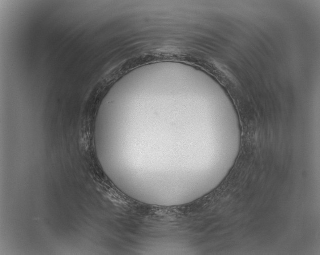 X0000069801015200606021433