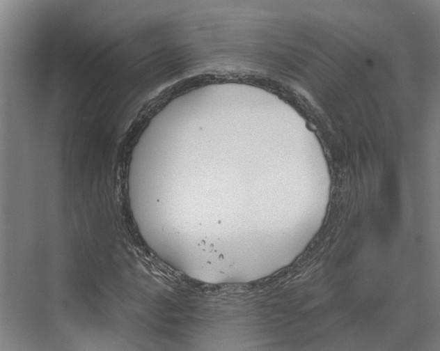 X0000069801016200606021433