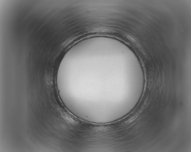 X0000069801017200606021434