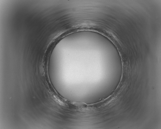 X0000069801018200606021434