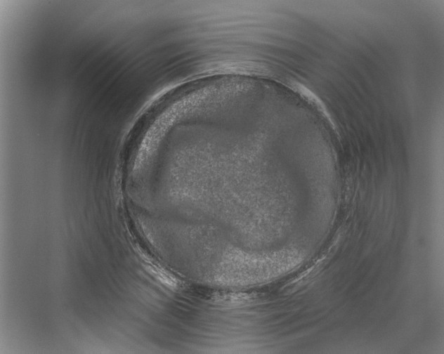 X0000069801019200606021434