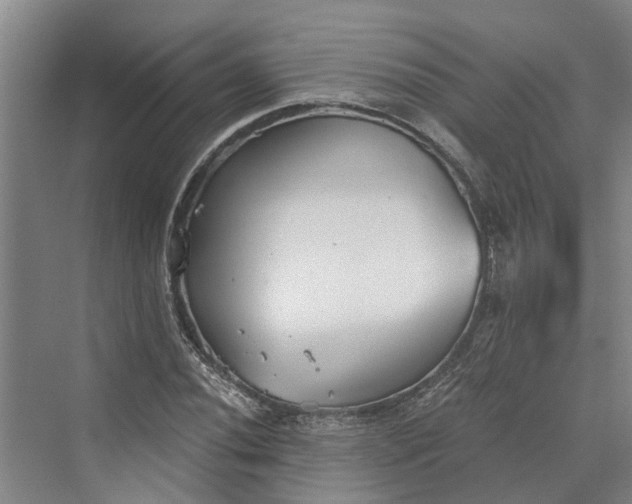 X0000069801020200606021434