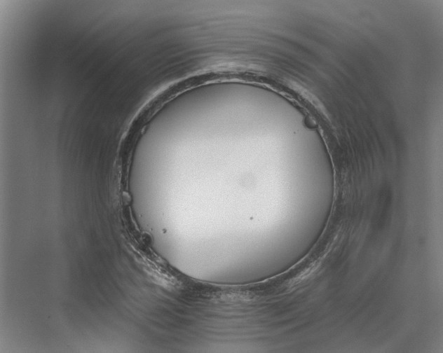 X0000069801021200606021434