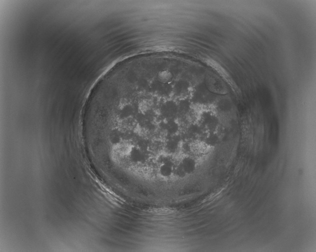 X0000069801023200606021434