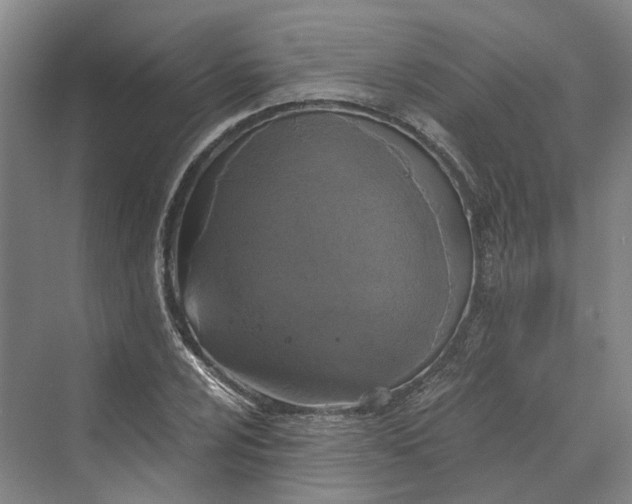 X0000069801024200606021434