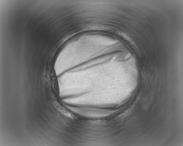 X0000069801025200606021434