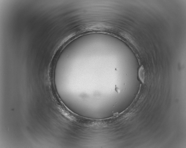 X0000069801026200606021434