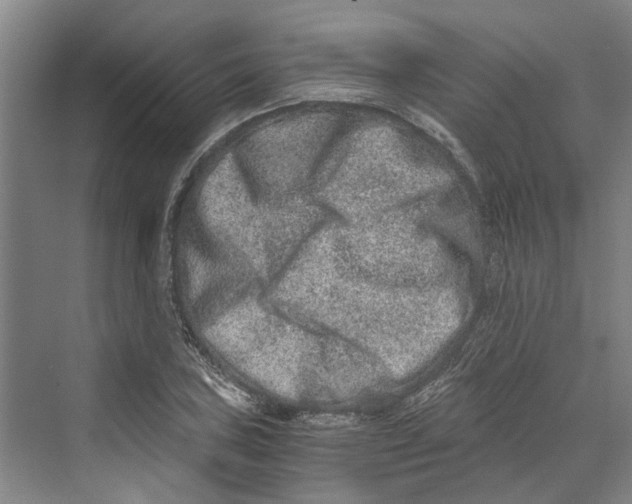 X0000069801027200606021434