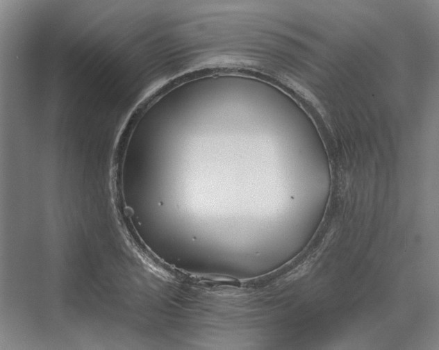 X0000069801029200606021434