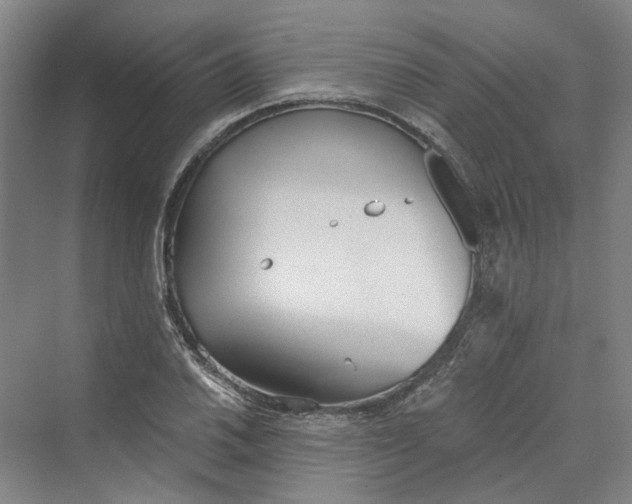 X0000069801030200606021434