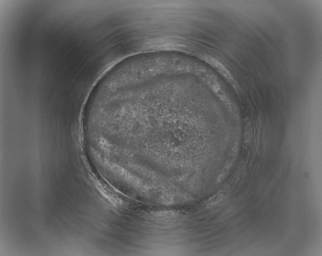 X0000069801031200606021434