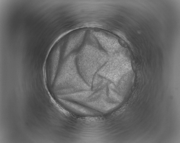 X0000069801032200606021434