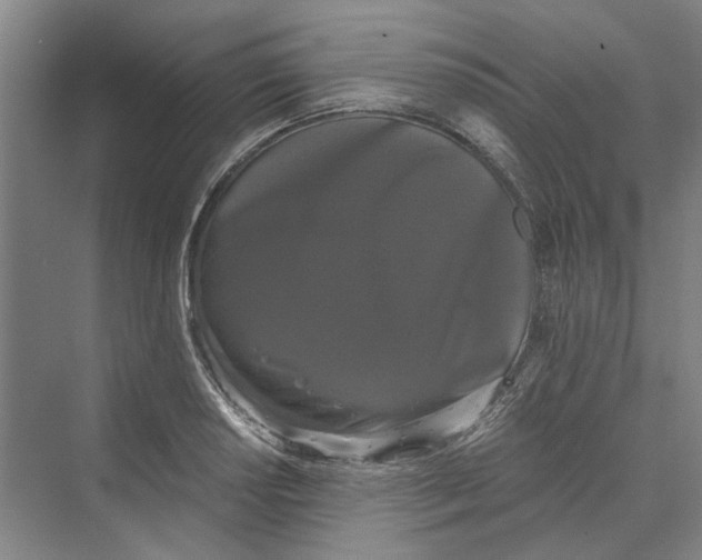 X0000069801034200606021434