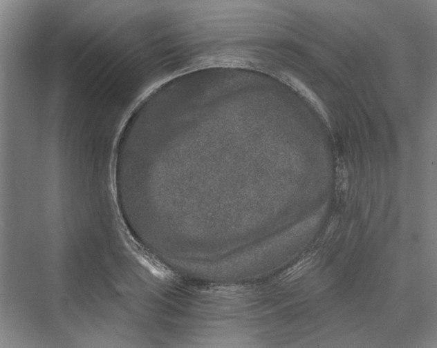 X0000069801035200606021434