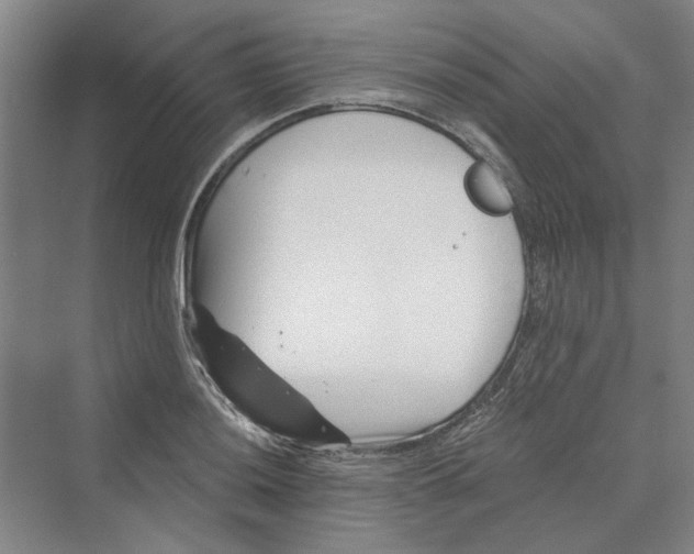 X0000069801036200606021434