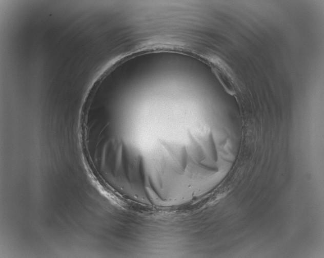 X0000069801038200606021434