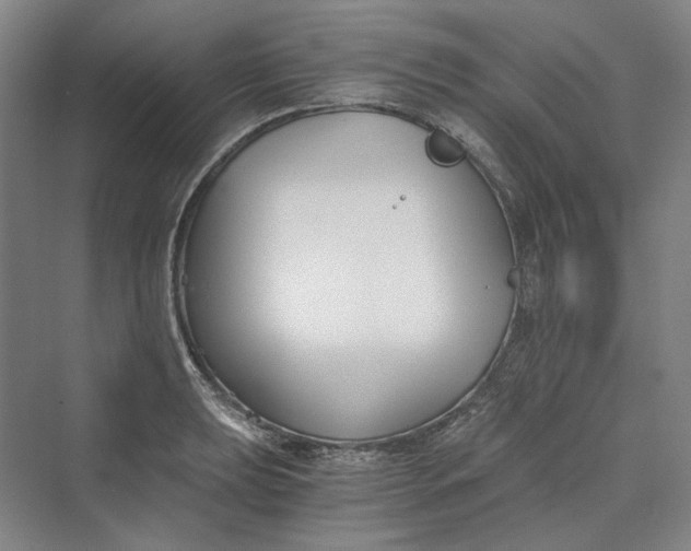 X0000069801039200606021434