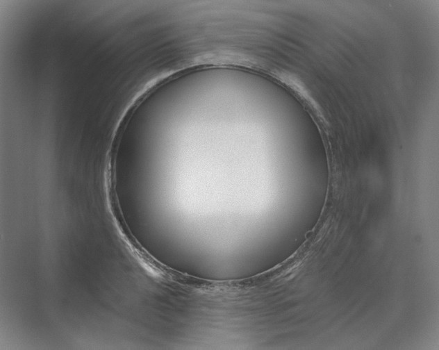 X0000069801040200606021434