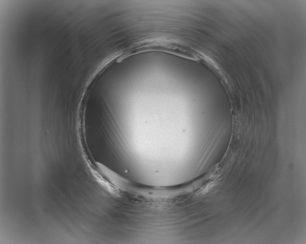 X0000069801042200606021434