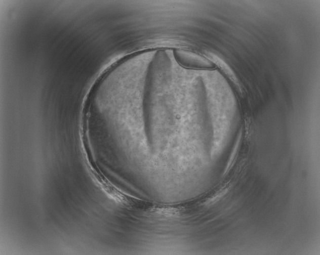 X0000069801043200606021434