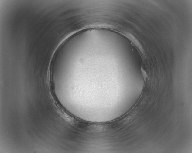 X0000069801044200606021434