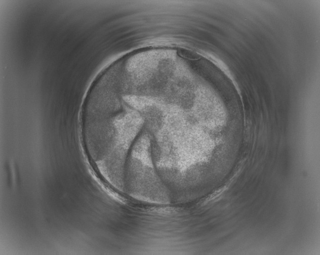 X0000069801045200606021434