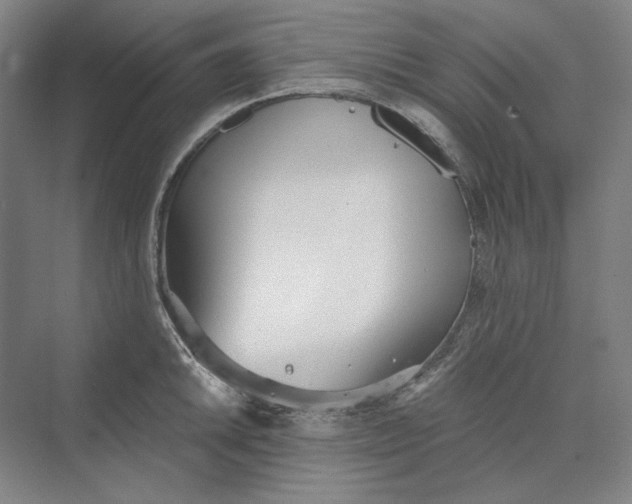 X0000069801046200606021434