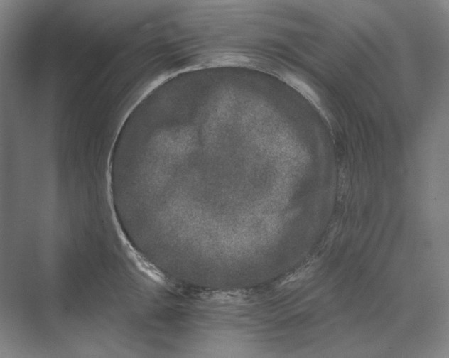 X0000069801047200606021434